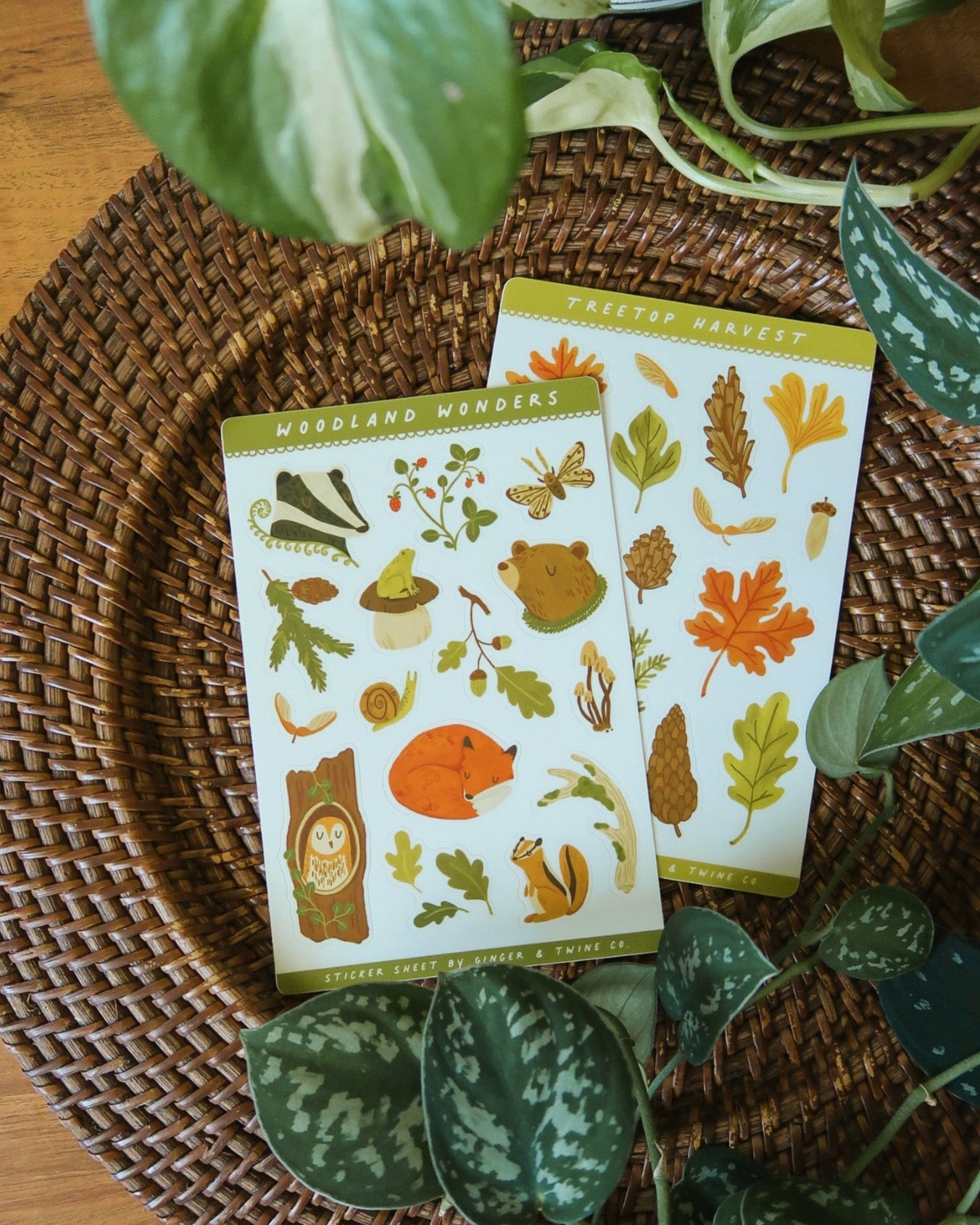 Woodland Wonders Sticker Sheet