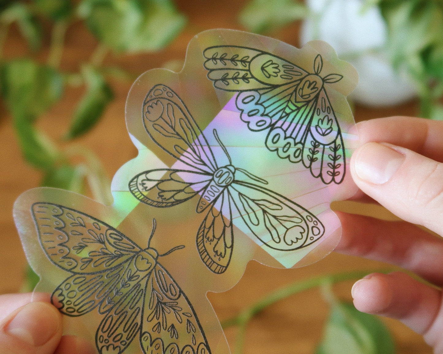 Botanical Moth Trio Suncatcher