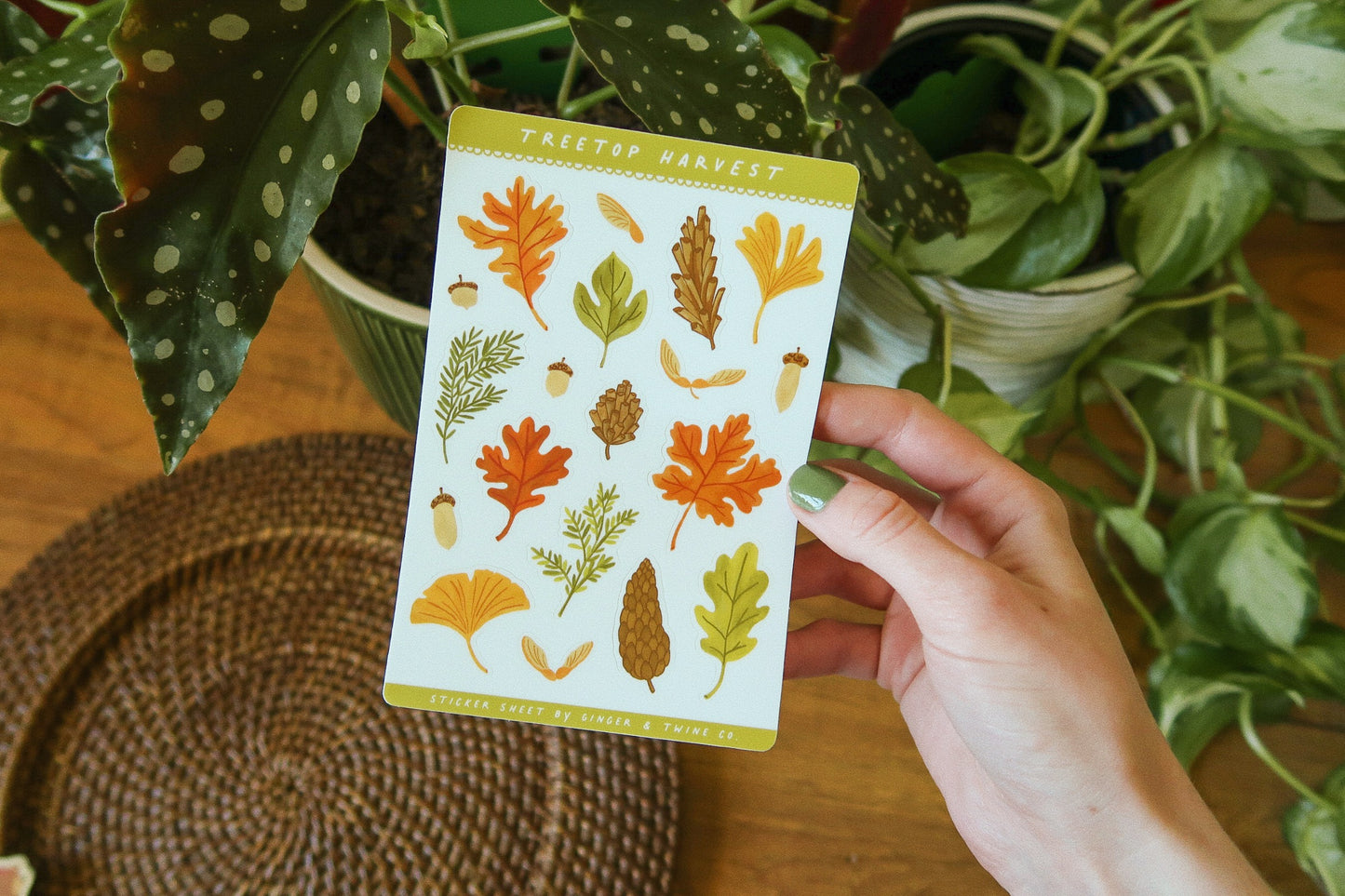 Treetop Harvest Sticker Sheet