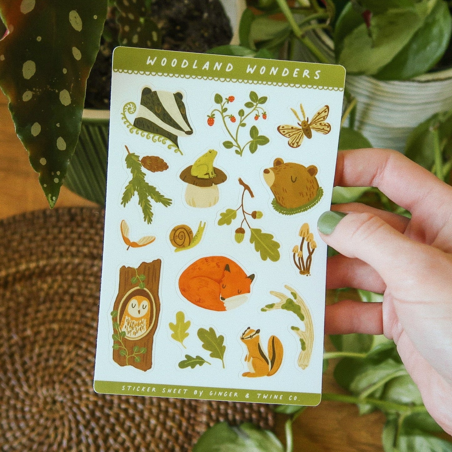 Woodland Wonders Sticker Sheet