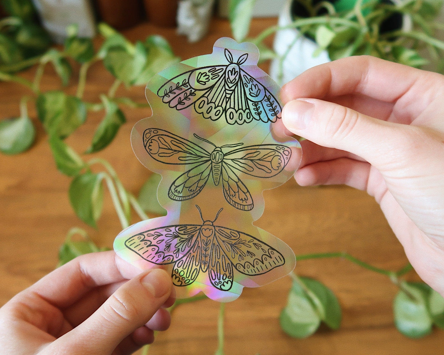Botanical Moth Trio Suncatcher