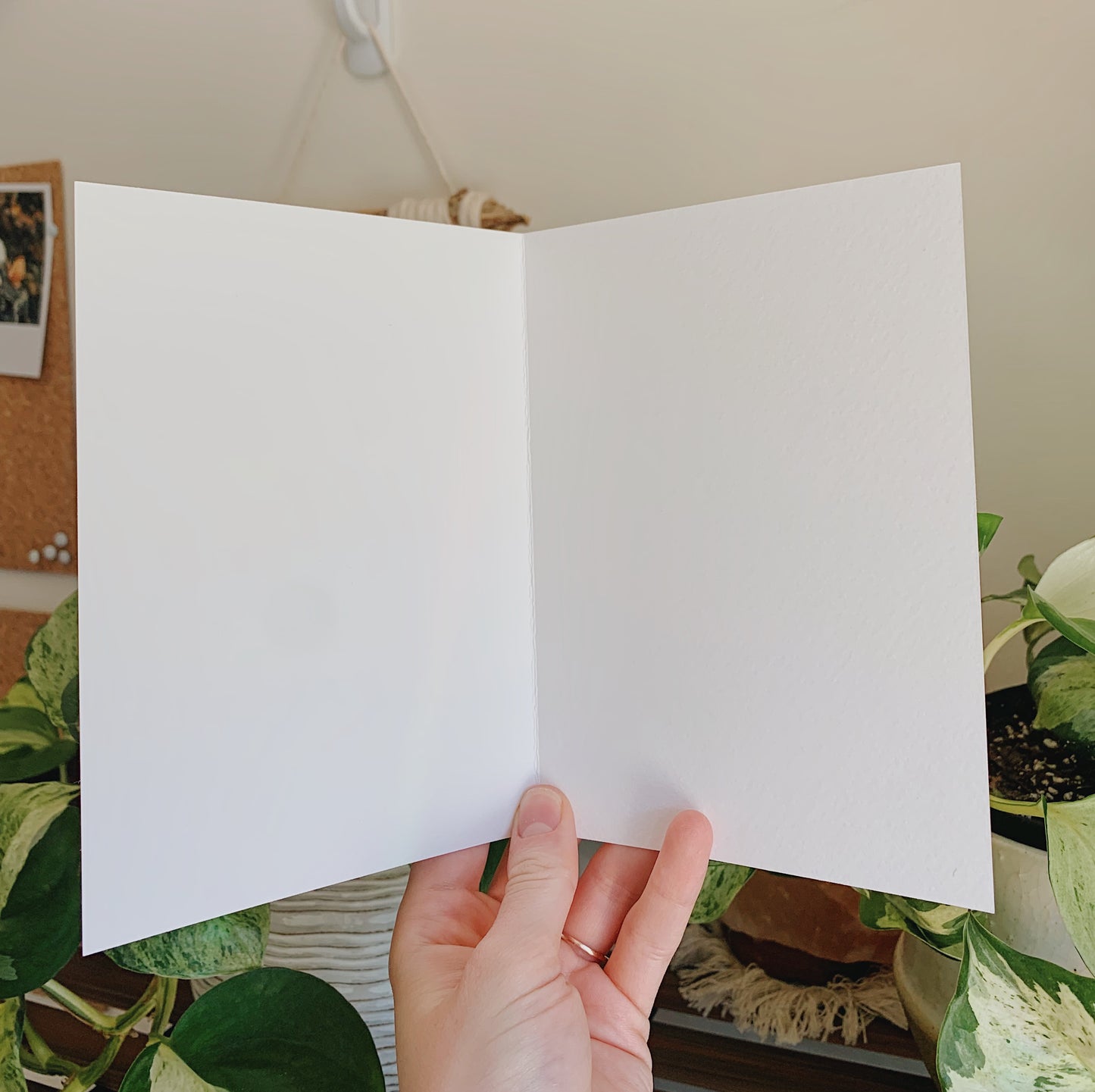 Pumpkin Harvest Greeting Card