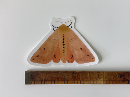 Isabella Tiger Moth Sticker