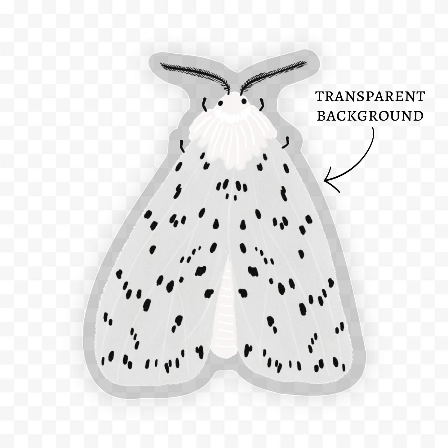 White Ermine Moth Sticker