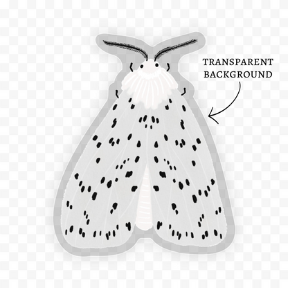 White Ermine Moth Sticker