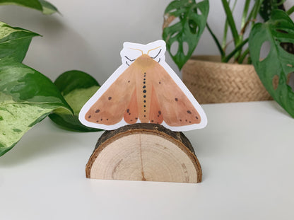 Isabella Tiger Moth Sticker