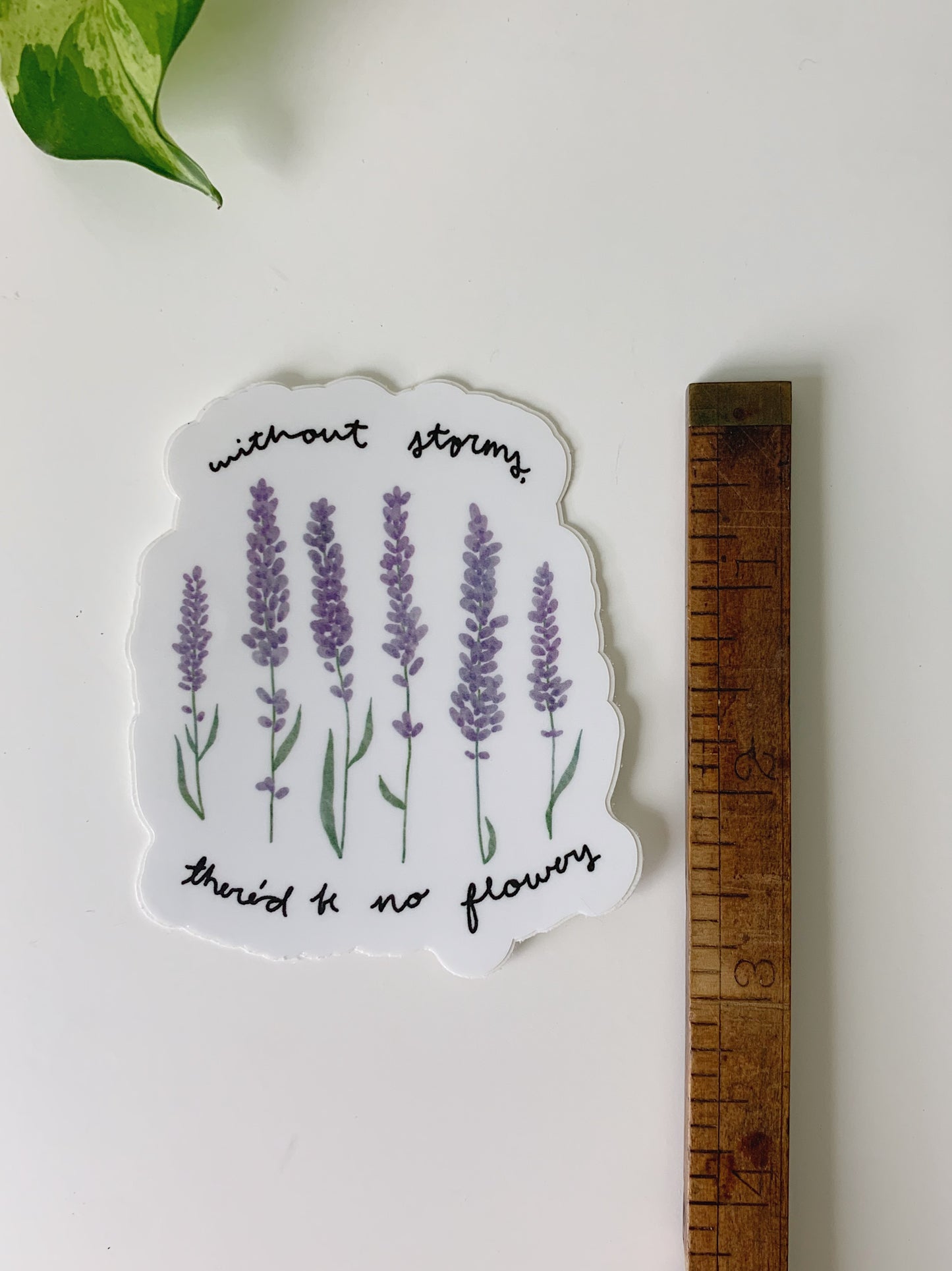 Lavender Sticker