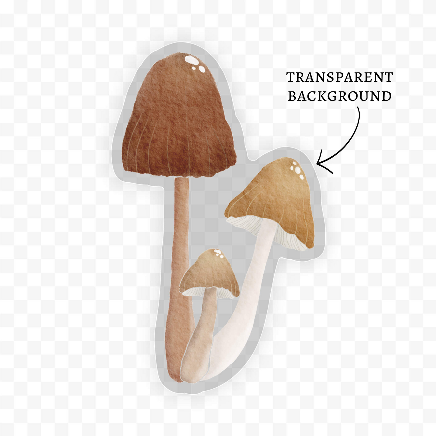 Pixie Cap Mushrooms Sticker