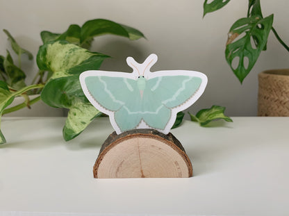 Common Emerald Moth Sticker