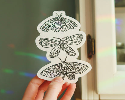 Botanical Moth Trio Suncatcher