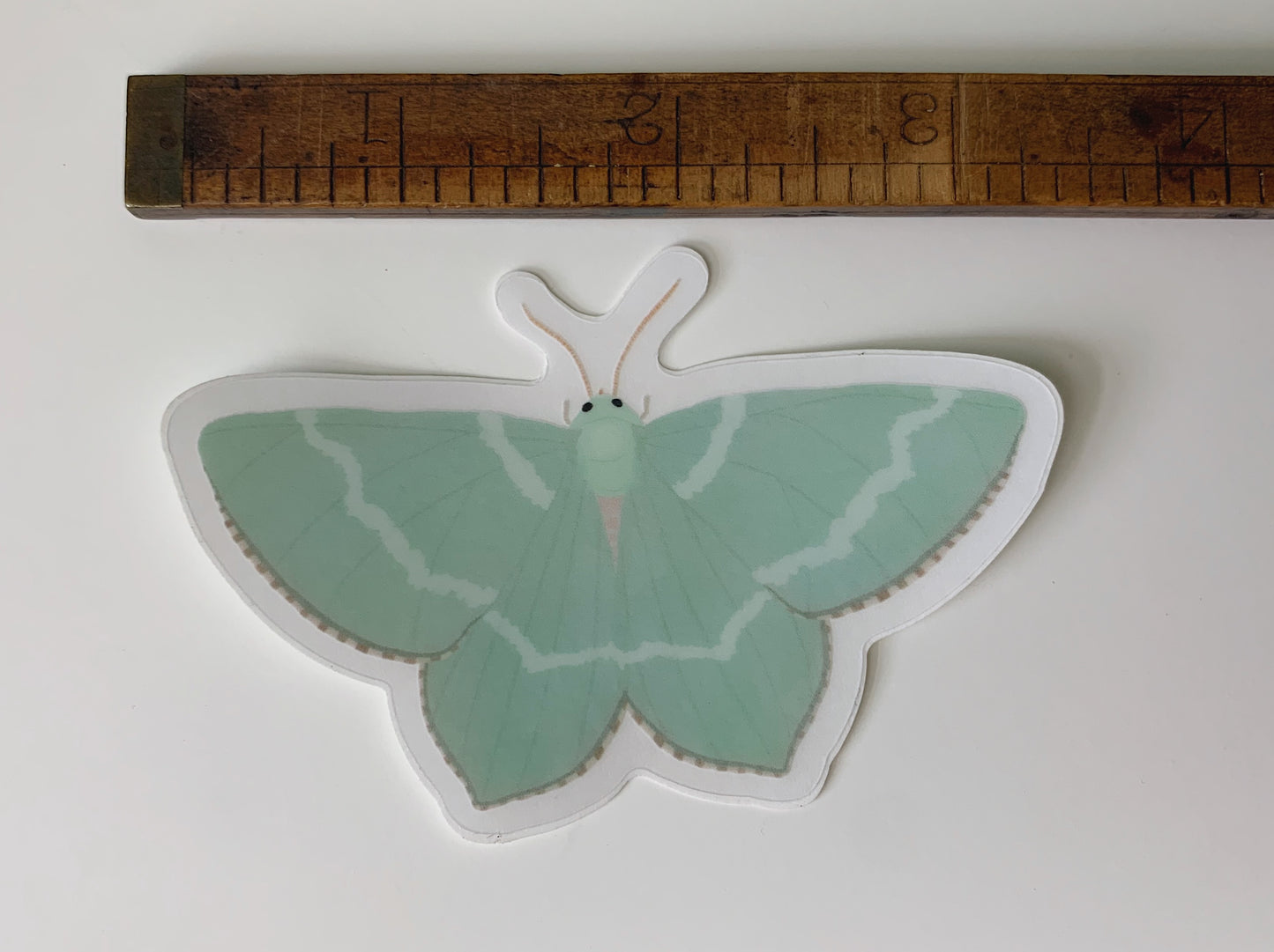 Common Emerald Moth Sticker