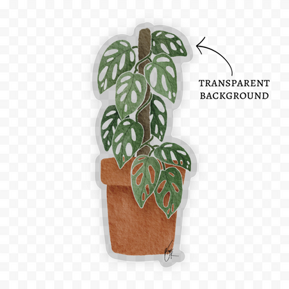 Swiss Cheese Plant Sticker