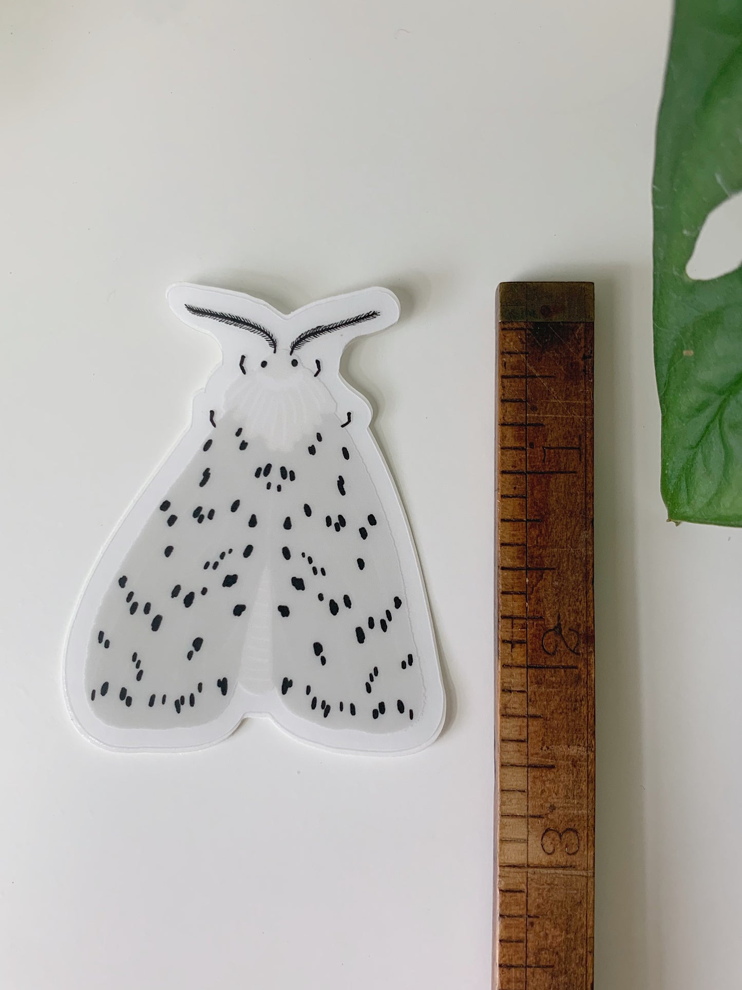 White Ermine Moth Sticker