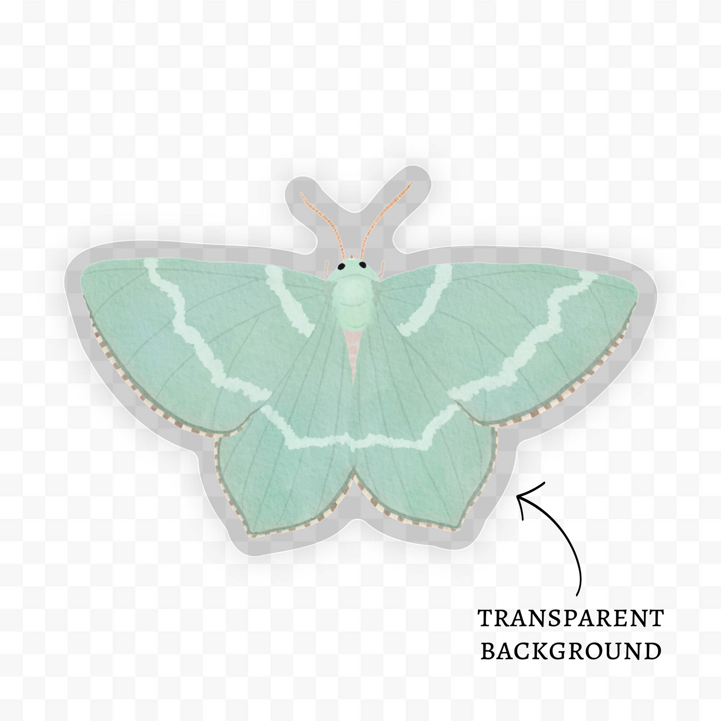 Common Emerald Moth Sticker