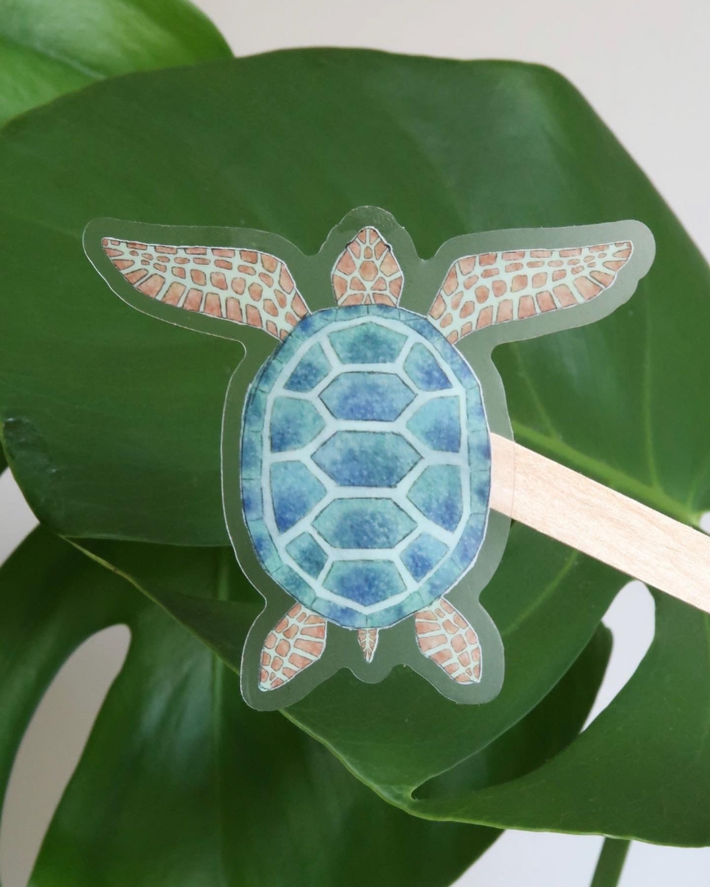 Sea Turtle Sticker