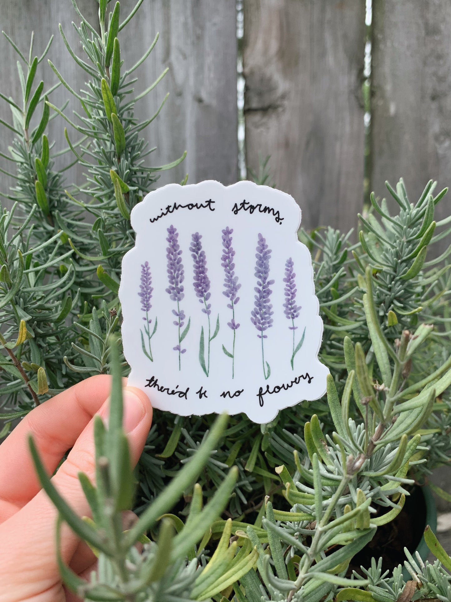 Lavender Sticker