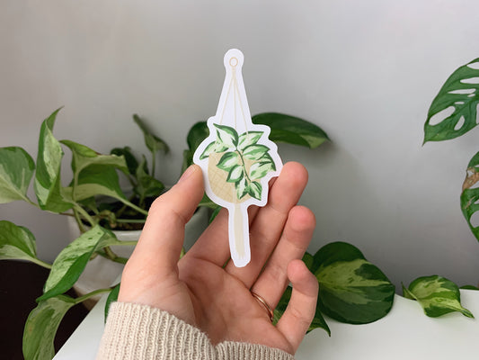 Manjula Pothos Sticker