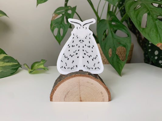 White Ermine Moth Sticker