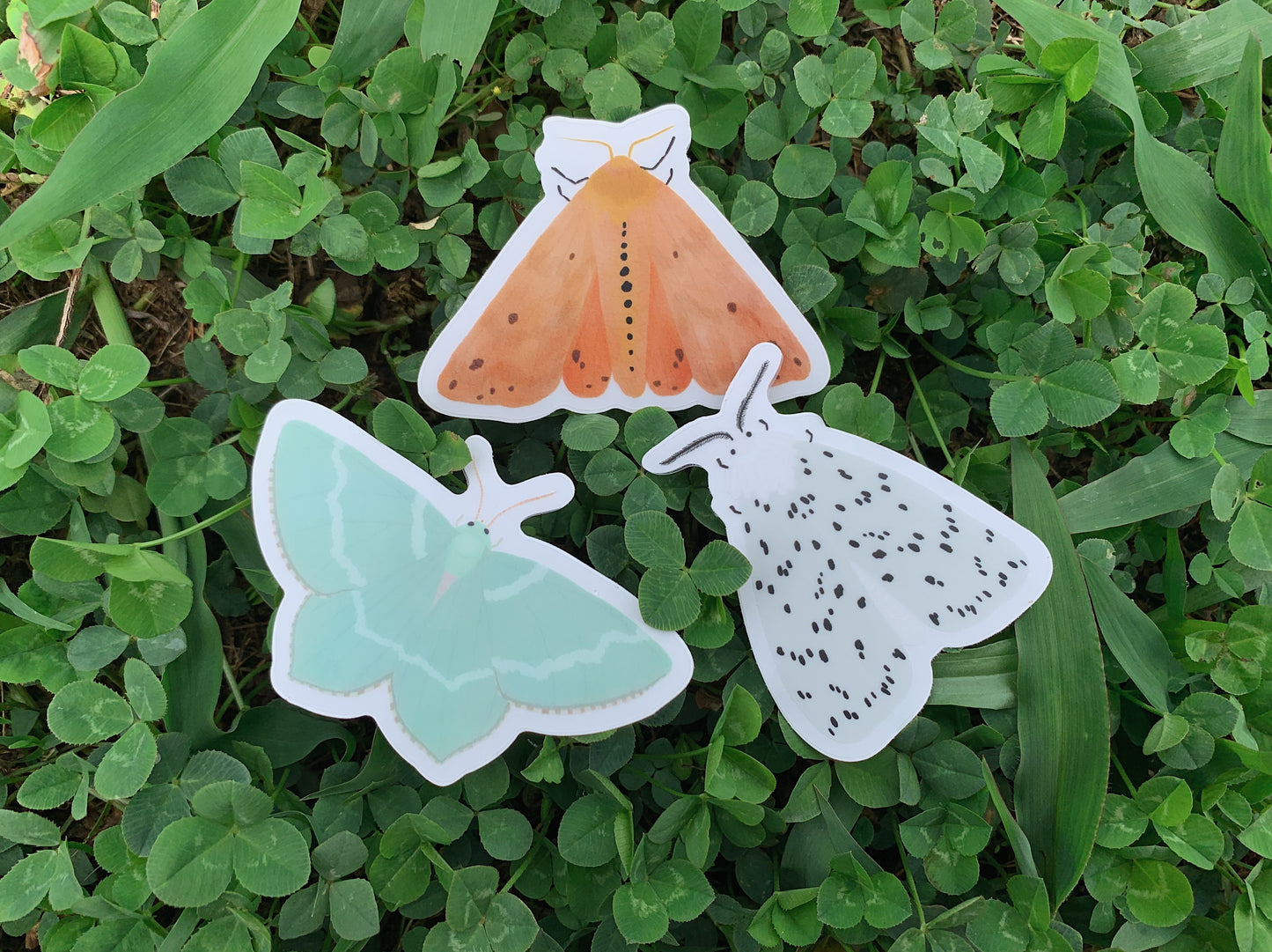 Moth Sticker Pack