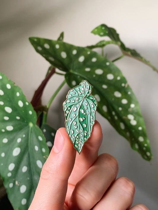 Begonia Maculata Enamel Pin