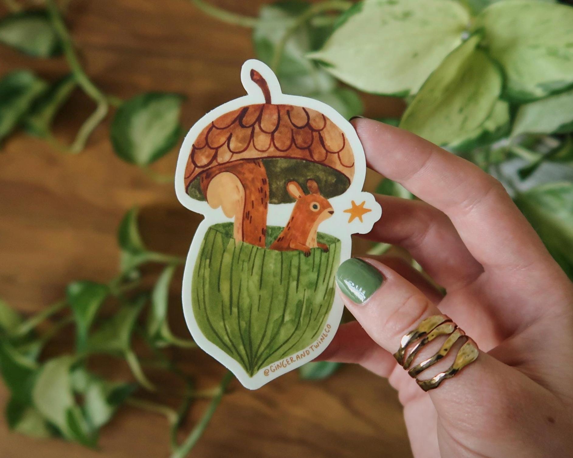Acorn Squirrel Sticker – Ginger & Twine Co.