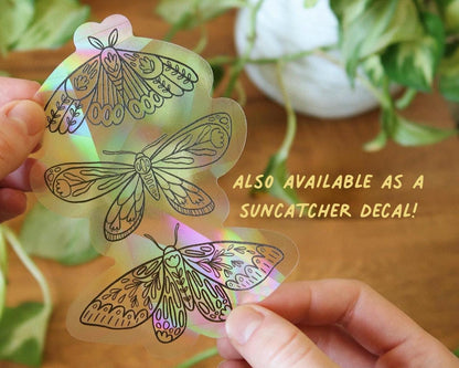 Botanical Moths Sticker Pack