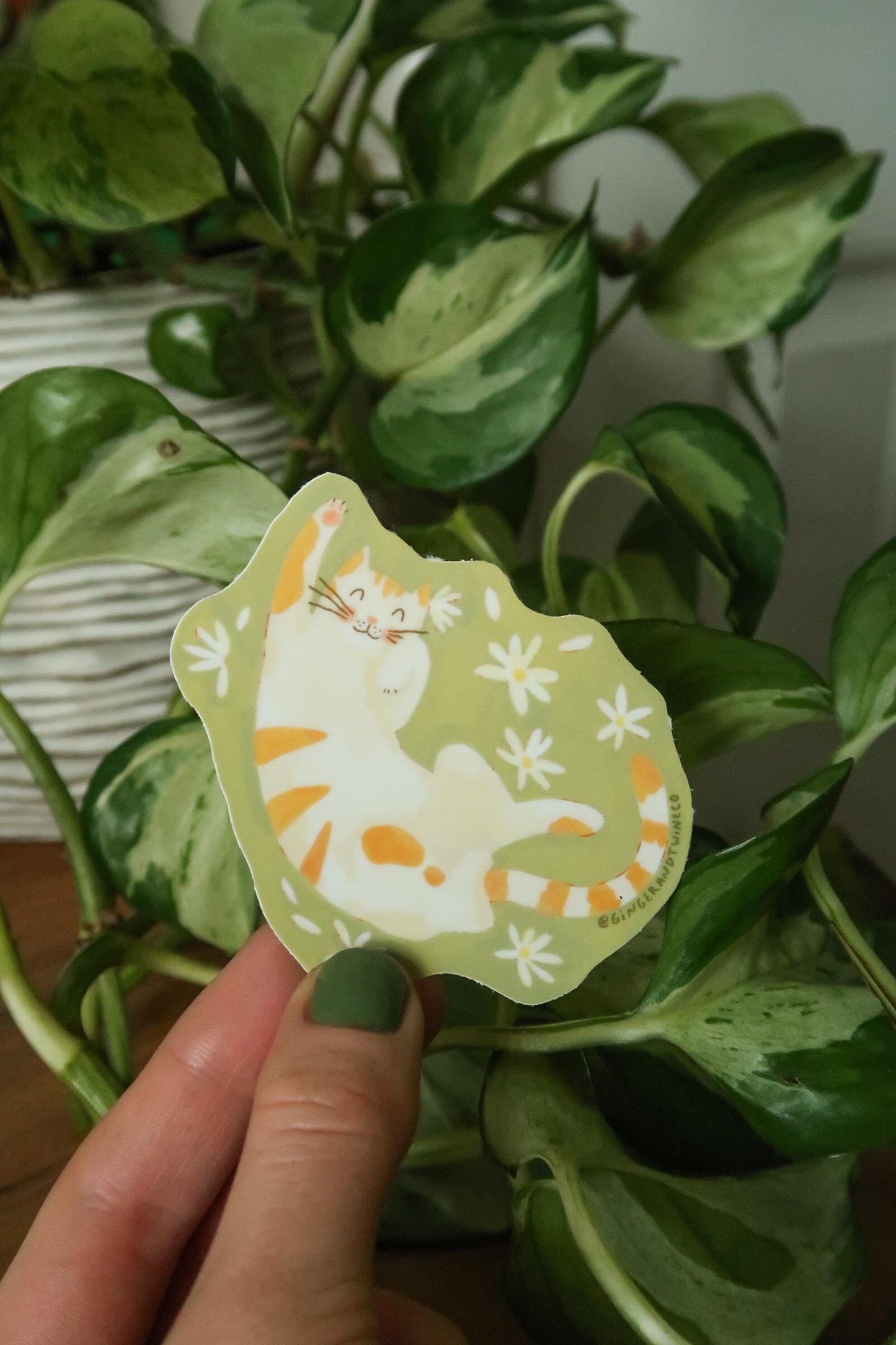 Butterscotch the Daisy Cat Sticker | Durable Waterproof Vinyl