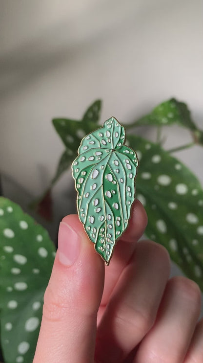 Begonia Maculata Enamel Pin