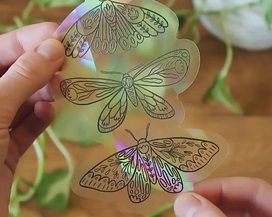 Botanical Moth Trio Suncatcher