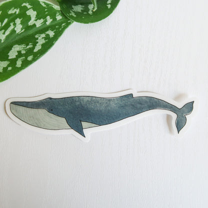 Wallace the Whale Sticker