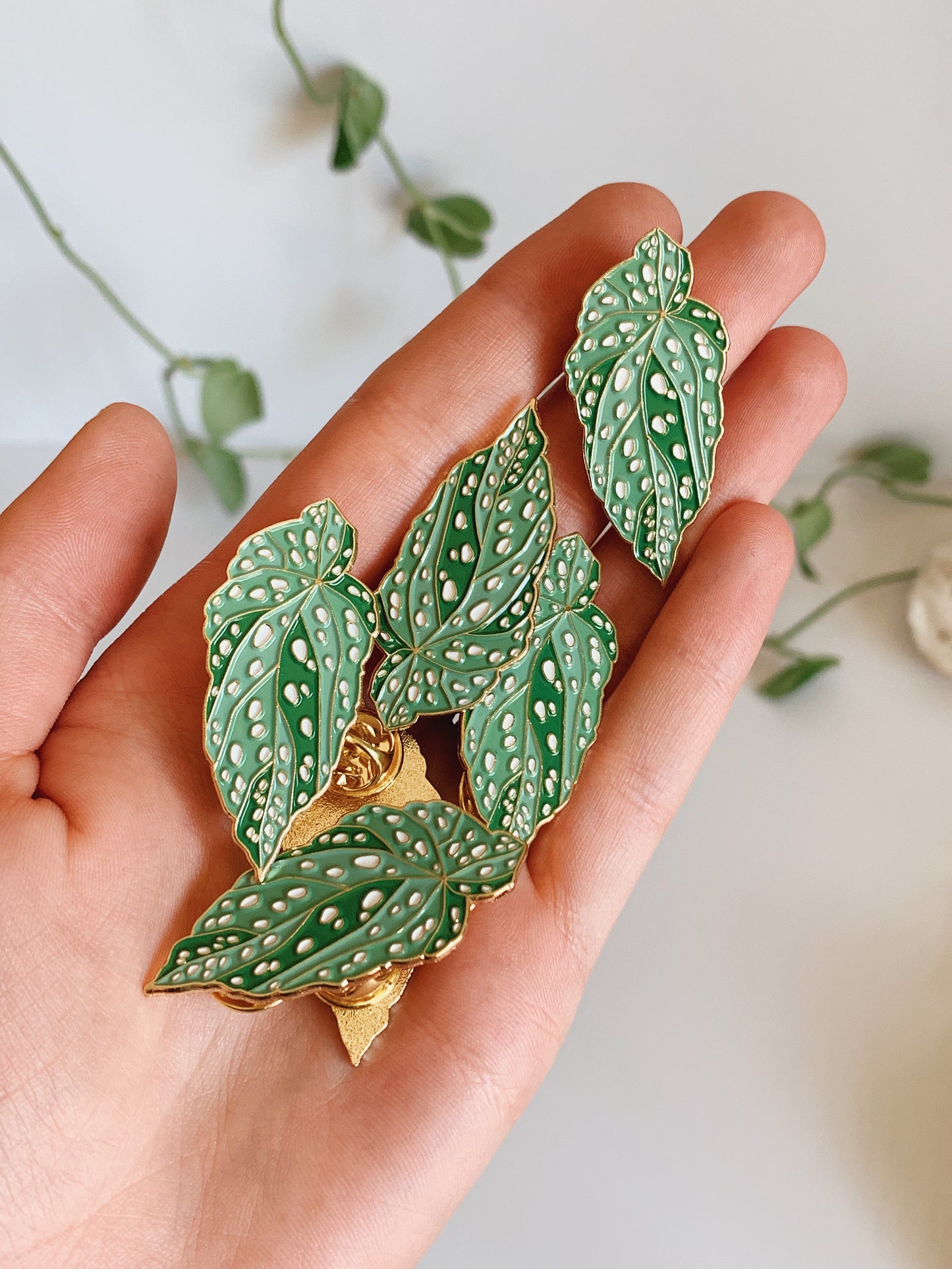 Begonia Maculata Enamel Pin